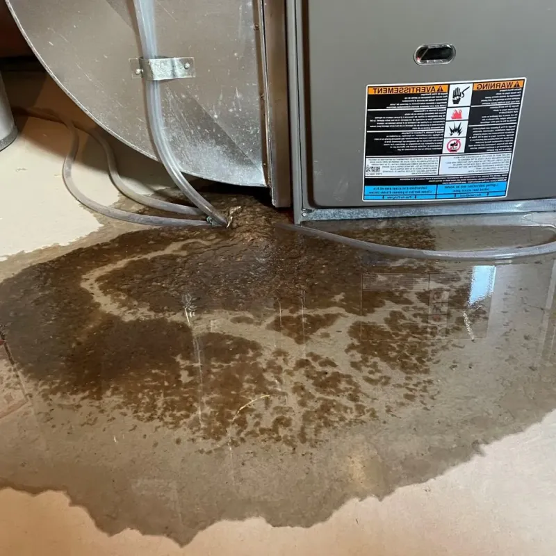 Pipe Burst and Leak Restoration in Hamlin County, SD
