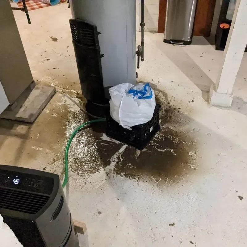 Sewage Backup Cleanup Service in Hamlin County, SD